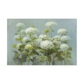 Trademark Fine Art Danhui Nai 'White Hydrangea Garden' Canvas Art, 22x32 WAP10863-C2232GG